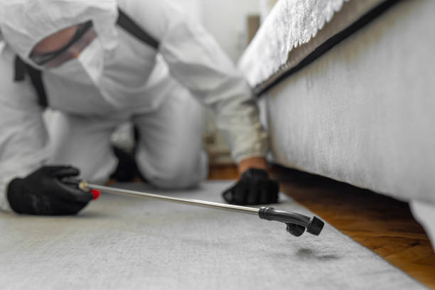 Professional Bed Bug Control technician working in Valley City, ND