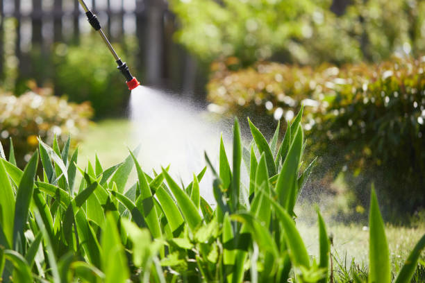 24/7 Emergency Bed Bug Control experts in Valley City, ND