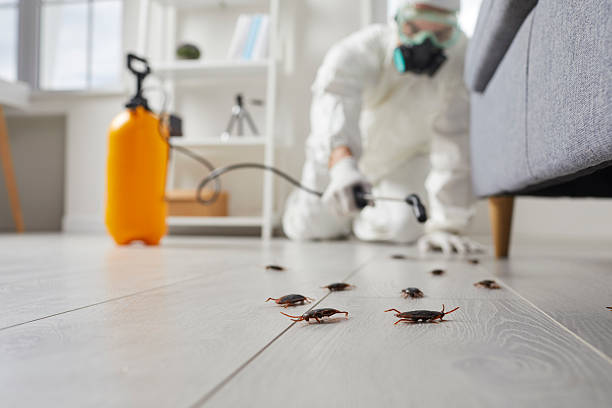 Trusted Termite Control service in Valley City, ND - Nex Pest Control
